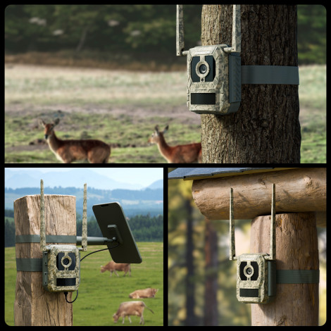 Reolink | 4K 4G Cellular Trail Camera with Live Streaming | Talon Series S130 | Trail | 8 MP | 4mm/F1.6 | IP67 | H.265 | MicroSD