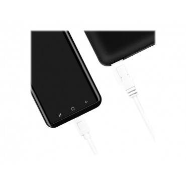 Logilink | USB 3.2 Gen 1x1 Cable | CU0175 | USB-C to USB-A USB-C Male | USB-A Male