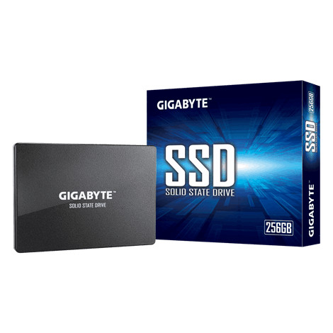 Gigabyte | GP-GSTFS31256GTND | 256 GB | Solid-state drive interface SATA | Read speed 520 MB/s | Write speed 500 MB/s