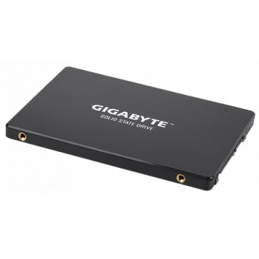 Gigabyte | GP-GSTFS31256GTND | 256 GB | Solid-state drive interface SATA | Read speed 520 MB/s | Write speed 500 MB/s