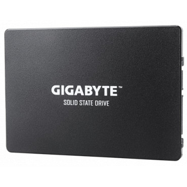 Gigabyte | GP-GSTFS31256GTND | 256 GB | Solid-state drive interface SATA | Read speed 520 MB/s | Write speed 500 MB/s