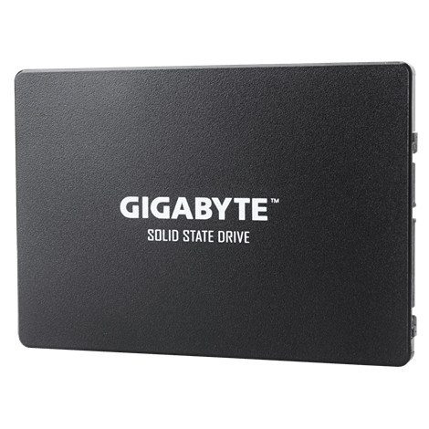 Gigabyte | GP-GSTFS31256GTND | 256 GB | Solid-state drive interface SATA | Read speed 520 MB/s | Write speed 500 MB/s