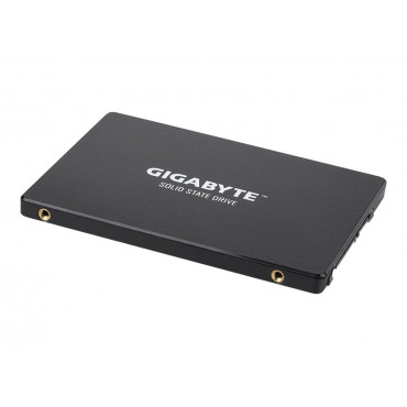 Gigabyte | GP-GSTFS31256GTND | 256 GB | Solid-state drive interface SATA | Read speed 520 MB/s | Write speed 500 MB/s