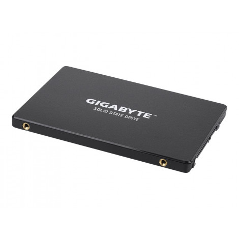 Gigabyte | GP-GSTFS31256GTND | 256 GB | Solid-state drive interface SATA | Read speed 520 MB/s | Write speed 500 MB/s