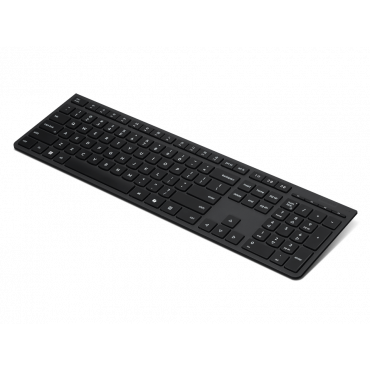 Lenovo Professional...