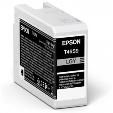 Epson UltraChrome Pro 10 ink | T46S9 | Ink cartrige | Light Gray