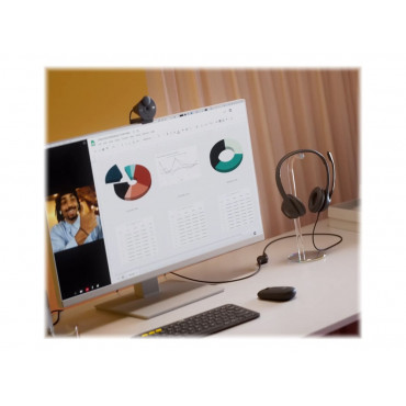 Logitech | Computer headset | H390 | Built-in microphone | USB Type-A | Black