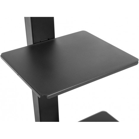 Goobay 58526 TV Floor Stand Basic (Size L), Black
