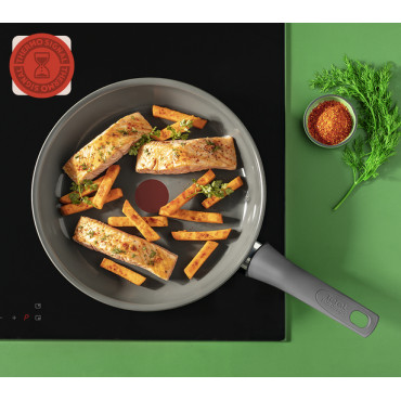Tefal C4260443 Renewal 24 cm Grey Induction Frypan | TEFAL