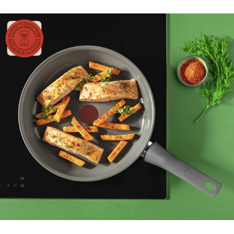Tefal C4260443 Renewal 24 cm Grey Induction Frypan | TEFAL