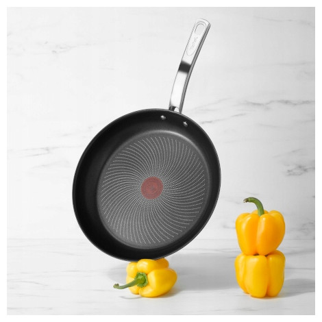 TEFAL INTUITION pan set, aluminum, suitable for induction cooker, 20 cm, 26 cm | TEFAL