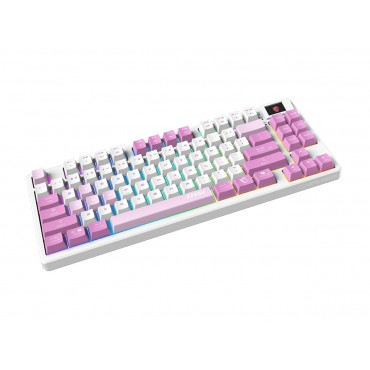 MSI FORGE GK600 TKL WIRELESS VIOLET | Gaming keyboard | Wireless | US | 2.4 GHz Wireless, Bluetooth, USB 2.0 | Mechanical Linear