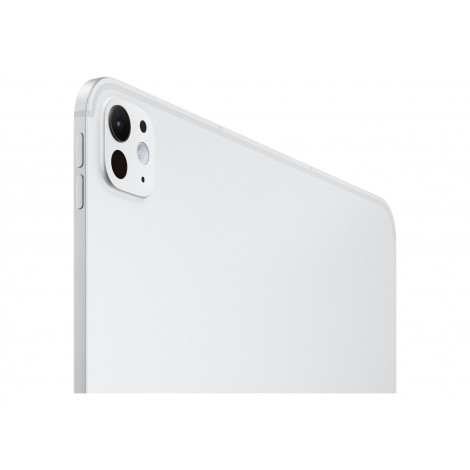 Apple 13-inch iPad Pro M5 Wi-Fi + Cellular 1TB with standard glass - Silver | Apple