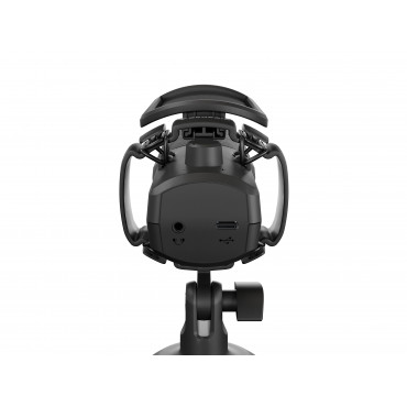 Natec | Microphone | GENESIS Radium 250 | Built-in microphone | Wired | Black