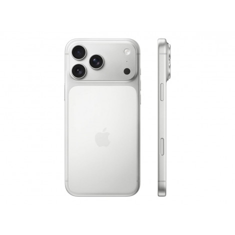 Apple iPhone 17 Pro Max | Silver | 6.9 " | Super Retina XDR display | 2868 x 1320 pixels | A19 Pro | Internal RAM 12 GB | 256 GB