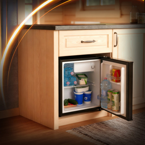 Adler Refrigerator | AD 8096 | Energy efficiency class E | Free standing | Larder | Height 49.5 cm | Fridge net capacity 45 L | 
