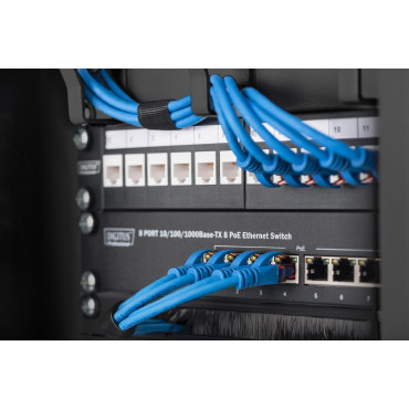 Digitus | Wall-mounted housing 254 mm (10") - 312 x 300 mm | DN-10-09U-B
