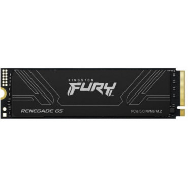 KINGSTON FURY Renegade G5...