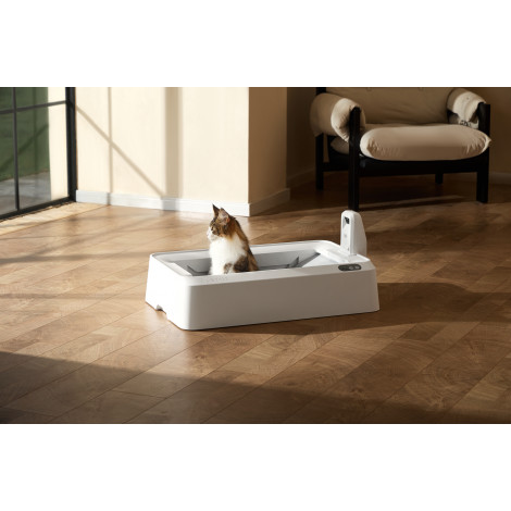 PETKIT Purobot Crystal Duo with Camera Self-Cleaning Cat Litter Box | White