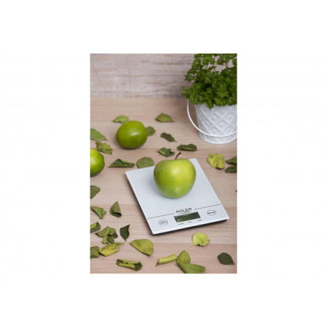 Adler | AD 3138 w | Maximum weight (capacity) 5 kg | White