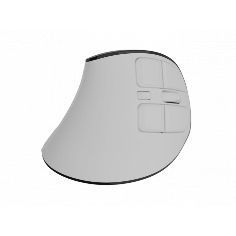 Natec Mouse | Euphonie Pro | Wireless | 2.4 GHz, Bluetooth | White