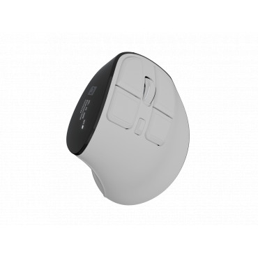 Natec Mouse | Euphonie Pro | Wireless | 2.4 GHz, Bluetooth | White