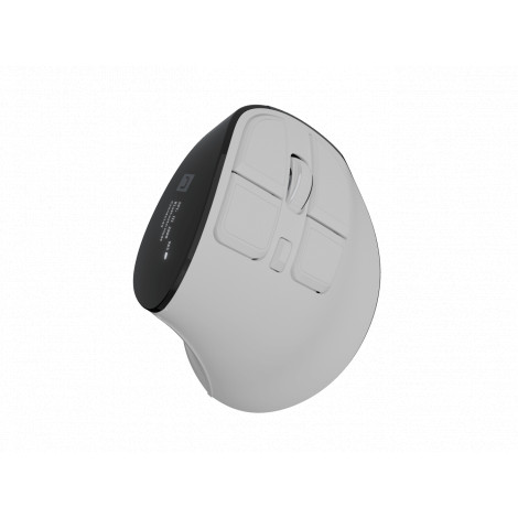 Natec Mouse | Euphonie Pro | Wireless | 2.4 GHz, Bluetooth | White