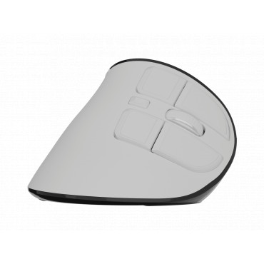 Natec Mouse | Euphonie Pro | Wireless | 2.4 GHz, Bluetooth | White