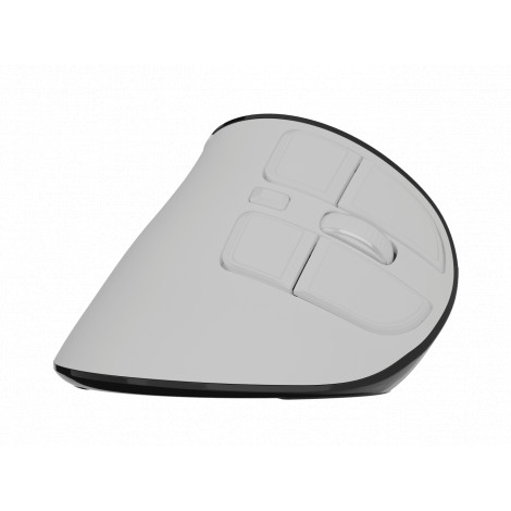 Natec Mouse | Euphonie Pro | Wireless | 2.4 GHz, Bluetooth | White