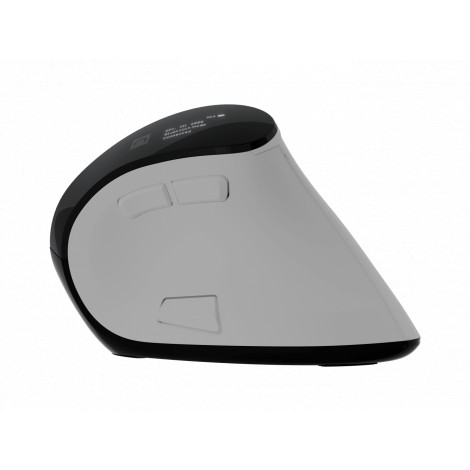 Natec Mouse | Euphonie Pro | Wireless | 2.4 GHz, Bluetooth | White