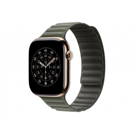 Apple 46mm Sage Gray Magnetic Link - S/M | Apple