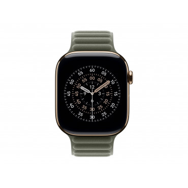 Apple 46mm Sage Gray Magnetic Link - S/M | Apple