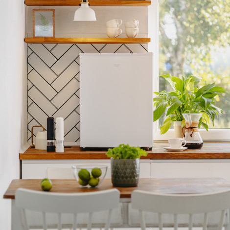 Adler Refrigerator | AD 8097 | Energy efficiency class E | Free standing | Larder | Height 63.2 cm | Fridge net capacity 58 L | 