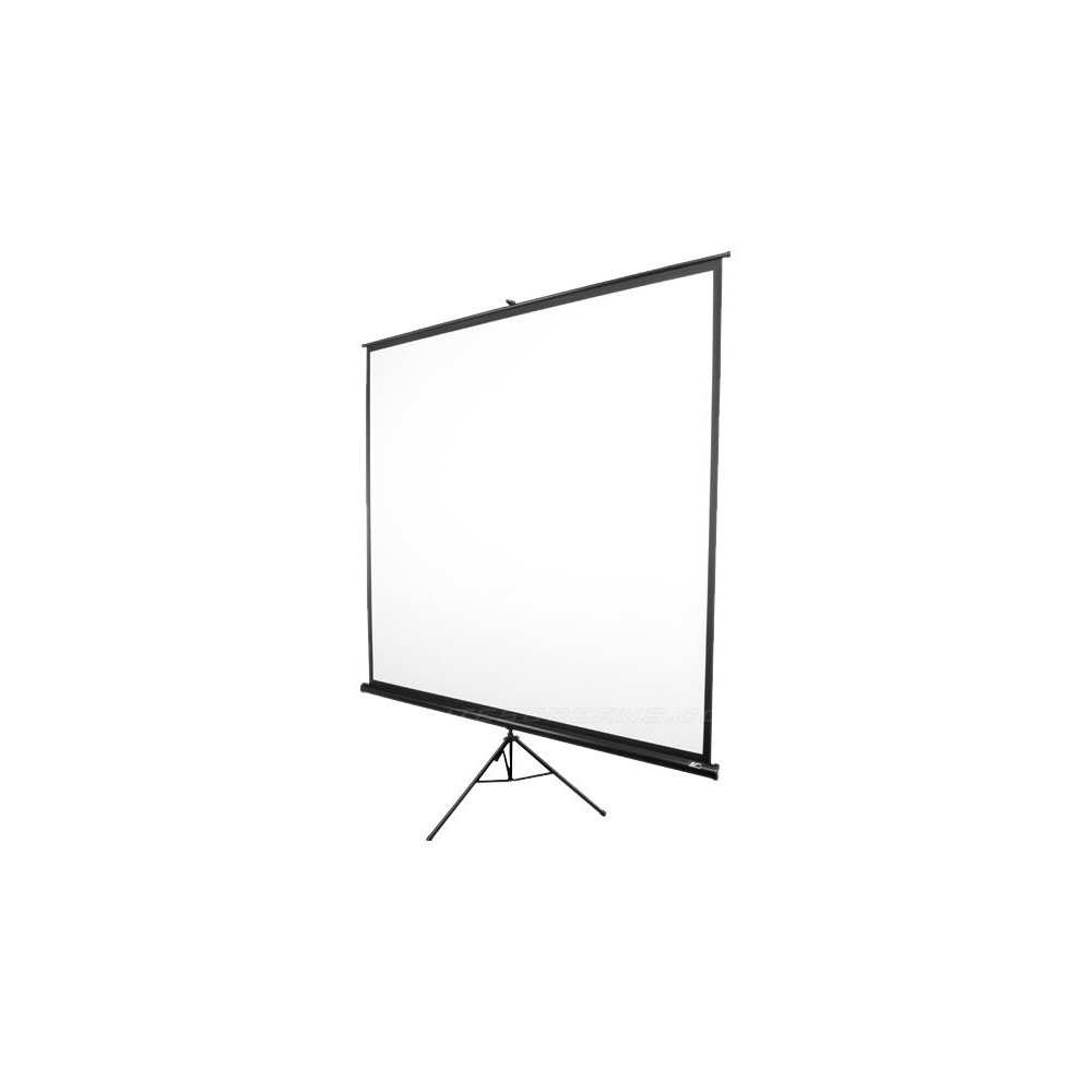 Elite Screens | Tripod Series | T120NWV1 | Diagonal 120 " | 4:3 | Viewable screen width (W) 244 cm | White