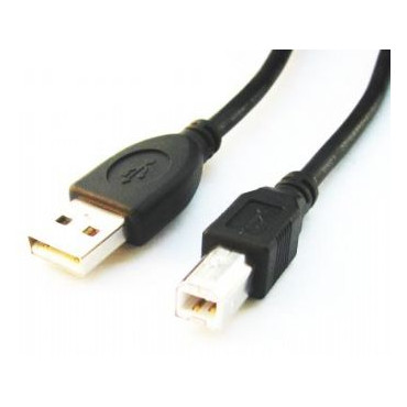Cablexpert | CCP-USB2-AMBM-6 | USB-A to USB-B USB A | USB B