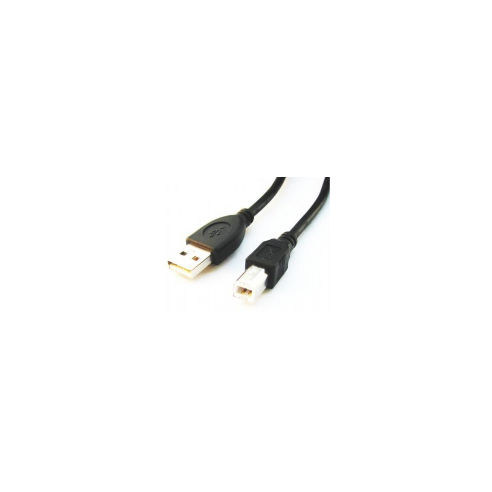 Cablexpert | CCP-USB2-AMBM-6 | USB-A to USB-B USB A | USB B