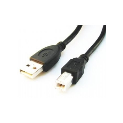 Cablexpert | CCP-USB2-AMBM-6 | USB-A to USB-B USB A | USB B