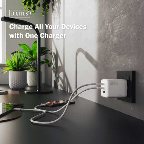 Digitus Battery charger, 100W | DA-10304