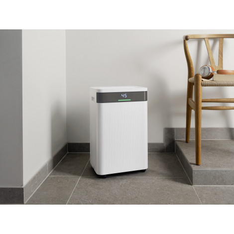 Mill | Dehumidifier | MDH20 | Suitable for rooms up to 20-30 m | Water tank capacity 4 L | White