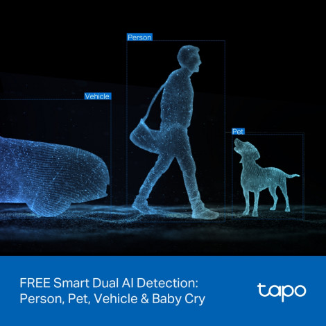 TP-LINK | Tapo C245D | Dual Lens Pan/Tilt Security Camera | Dome | 3 MP | 3.1mm/F1.6 | MicroSD Card up to 512 GB