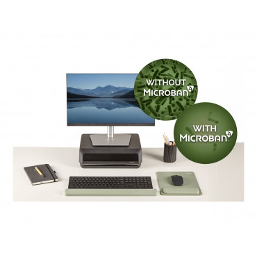 Fellowes | Breyta Keyboard Wrist Rest | Sage