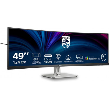 PHILIPS 49B2U5900C/00...