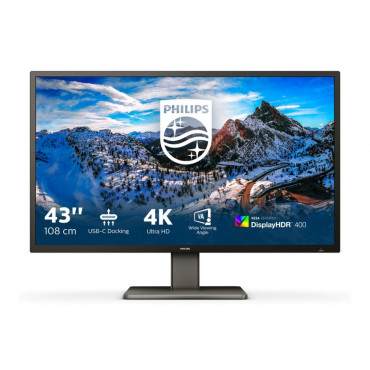 PHILIPS 439P1/00 43.5inch