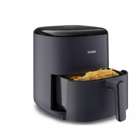 EY245B10 | TEFAL
