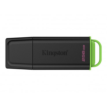 Kingston DataTraveler Exodia 256GB USB 3.2 Flash Drive