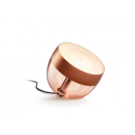 Philips Hue | Hue Iris Portable Lamp, Copper Special Edition | Copper/brass | Portable lamp