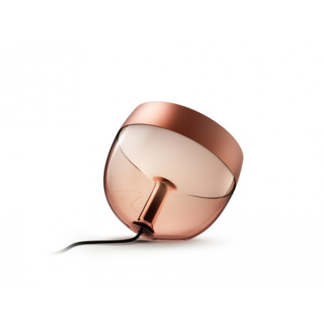 Philips Hue | Hue Iris Portable Lamp, Copper Special Edition | Copper/brass | Portable lamp