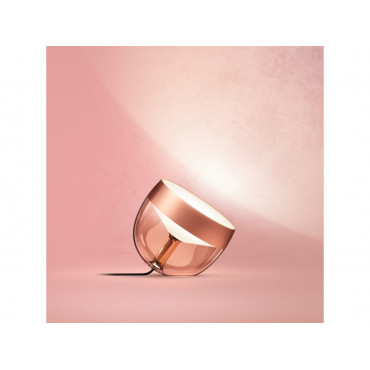Philips Hue | Hue Iris Portable Lamp, Copper Special Edition | Copper/brass | Portable lamp