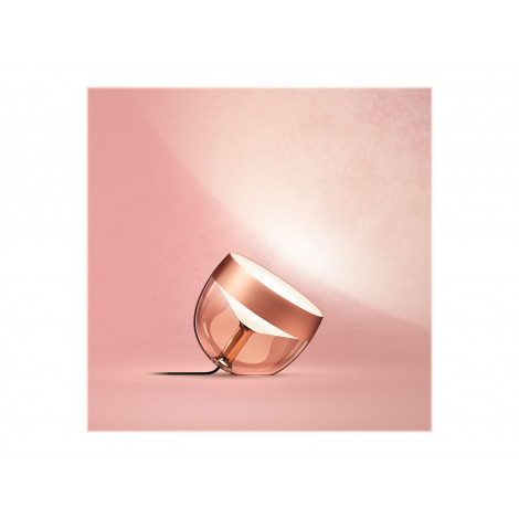 Philips Hue | Hue Iris Portable Lamp, Copper Special Edition | Copper/brass | Portable lamp