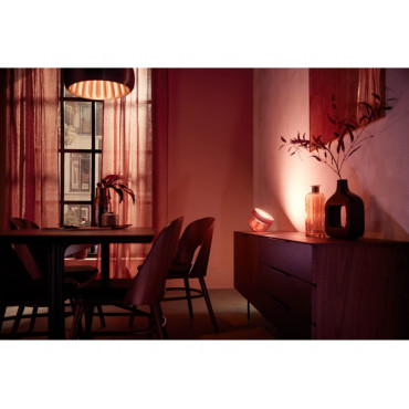 Philips Hue | Hue Iris Portable Lamp, Copper Special Edition | Copper/brass | Portable lamp